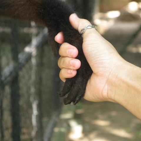 Wildlife Conservationist, Educator and Storyteller.