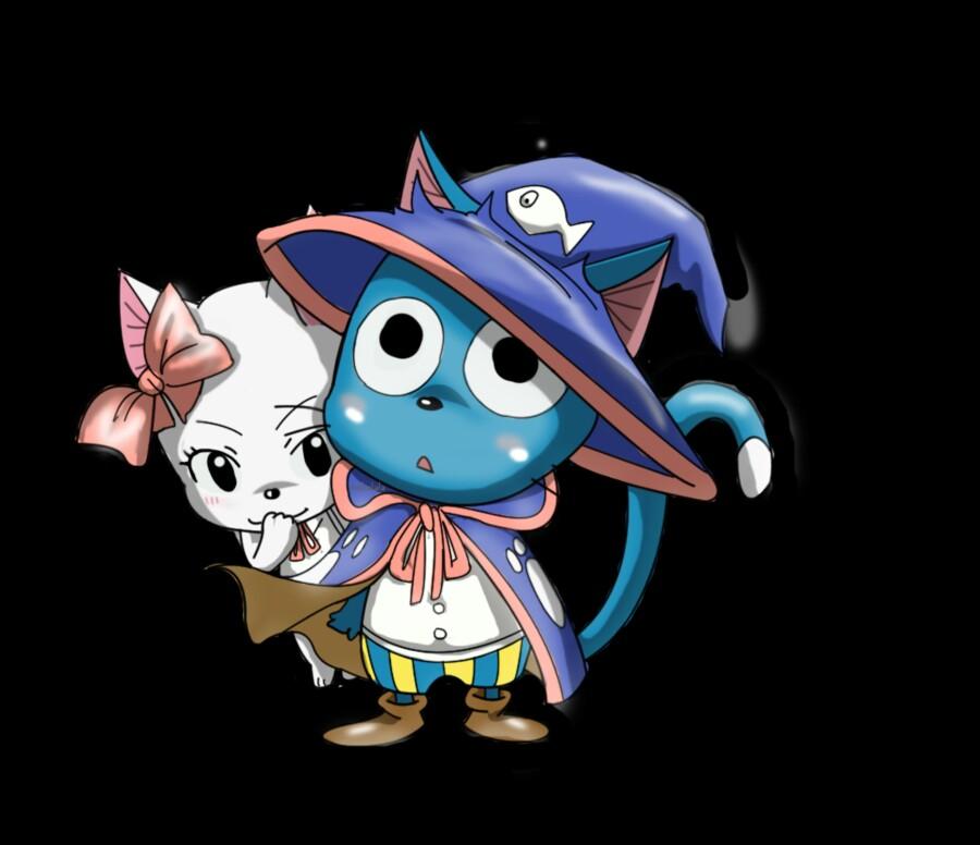 a member of the Fairy Tail guild. Natsu's partner