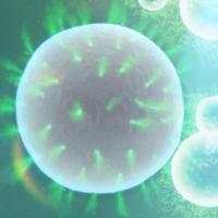 MembraneBiophysicsIC (@membiophysic) 's Twitter Profile