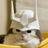 buriburiblitz's profile image