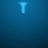 JKS_13's profile image