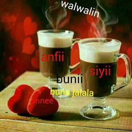 6dd0f4d28f81491's profile picture. 