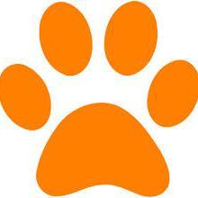 Autism Support Teacher at Roundtown Elementary. Field Hockey Coach. It's a great day to be a panther!