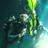 4kfootprints's profile image