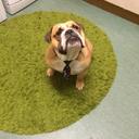 Jimmy Wright - @JimmyWr01721548 - Twitter