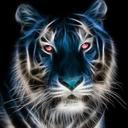 Dave Mckee - @dbm02 - Twitter