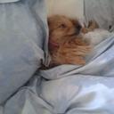 darren bacon - @darrenbacon3 - Twitter