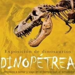 Dinopétreaさんのプロフィール画像