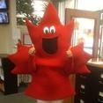 Pearson High School (@lbphighschool) Twitter profile photo