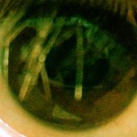 DARO (@daro_sanchez_) 's Twitter Profile