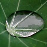 jhonmartinez's profile picture. 