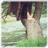 fibsidiscti1972's profile image