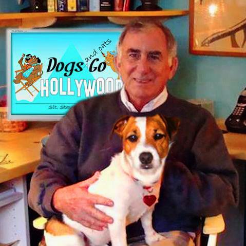 Dogs & Cats go Hollywood Creates Funny Cats & Dogs