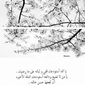 sfd2015's profile picture. لستُ إلا عابرهہ بدنيا فانيہ امنيتي ان اخلد بالقلوب كَ ذكرى حسنہ لَ افوز بدعوات نفوس طيبہ اسعد بہا حينما اكون بَ قبري وحيدهہ ..