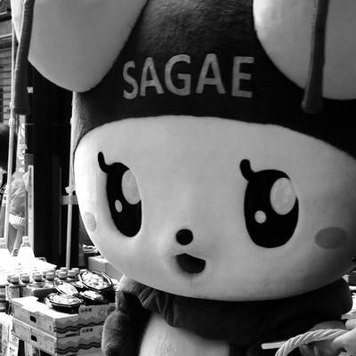 AnKasuga's profile picture. 