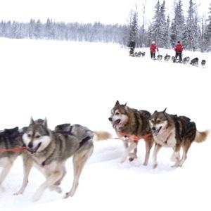 Exkursion_Levi's profile picture. 