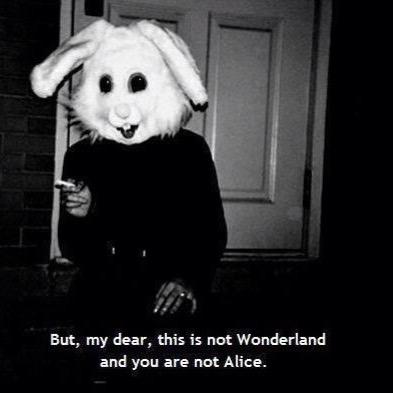 x_JustDepressed's profile picture. 15 years old || Depressed and Bulimic || 49 days clean || anon account