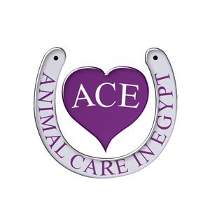 ACE help improve local communities by easing/preventing the suffering of the working & all animals by provision of veterinary treatment & education programmes.