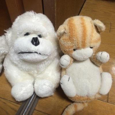 usappi0130's profile picture. 