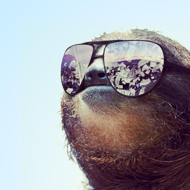 ouate2phoquewtf's profile picture. Prendre 5 minutes de pause toutes les heures au boulot, c'est très important. Du coup, ODP propose des sujets #LAWL #geek #YOLO et consort.