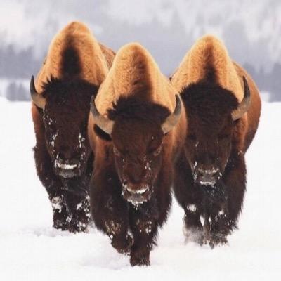 jeffdash's profile picture. Founder of @JMS_Global which is a Collaborative Approach to Real Estate and Development. Former Swimmer at @UofA. Love for you to follow me! Have a good one!