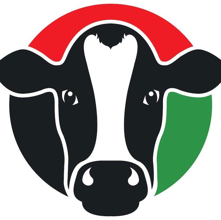 Italian Dairy Products is an authentic Italian cheese factory making a host of fresh mozzarella and other varieties in the UAE