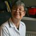 Diana Widdows (@dianatheosteo) Twitter profile photo