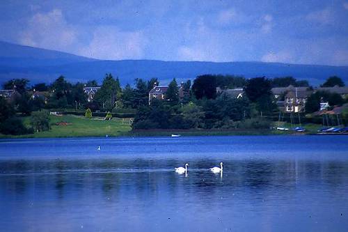 lady_angietay_'s profile picture. 