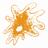 Qualinova_Lab's profile image