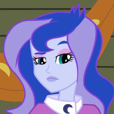 Vice principal of Canterlot High School.