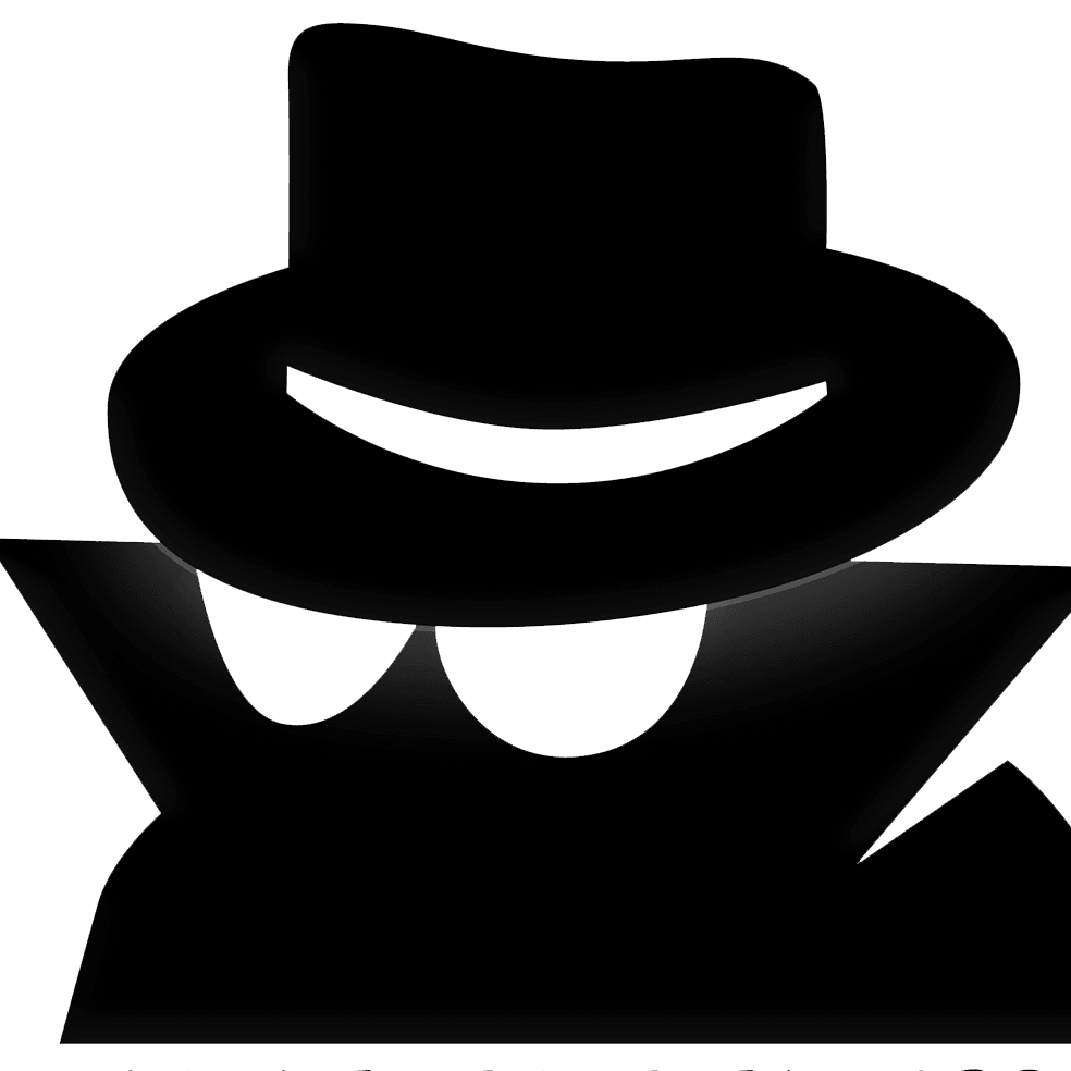 Veille sur le respect de la vie privée sur le #Web et service de nettoyage de vos données personnelles sur le Web et les réseaux sociaux