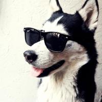 Moii (@moiister) 's Twitter Profile