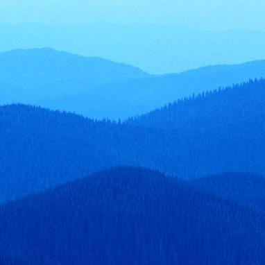 976mjt's profile picture. 