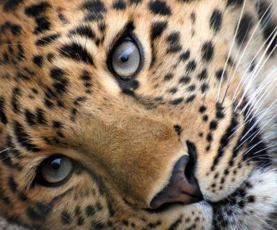 SandririM's profile picture. Estudiante de Veterinaria en Córdoba y amante de los animales!