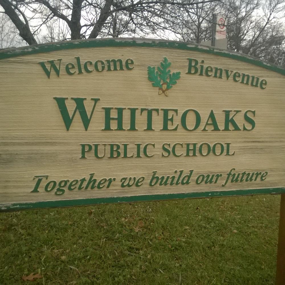 wpscouncil's profile picture. 