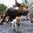 BTTINVEST's profile image