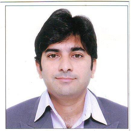 Chartered Accountant in profession