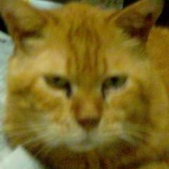 takasi_121@ezweb.ne.jp 09011639039