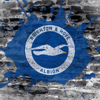 Loves horses, duran duran 80's music, F1, football - Brighton and Hove Albion