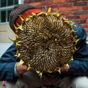 Mike Mast - @Md_Mast - Twitter