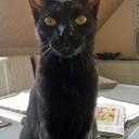 Sandra Hupp - @HuppSandra - Twitter