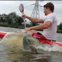 Dewald Hattingh (@dewaldhattingh) 's Twitter Profile