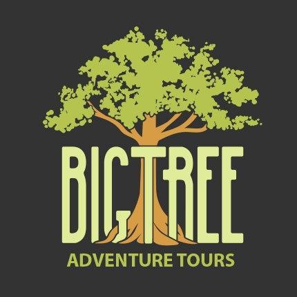 Big Tree Adventure Tours - Kite surfing, hike, bike, swim, kayak, explore wildlife & historical sites under giants of the Amazon rain forest in Northern Brazil.
