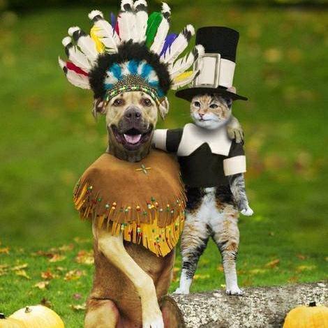 scarey2014's profile picture. 