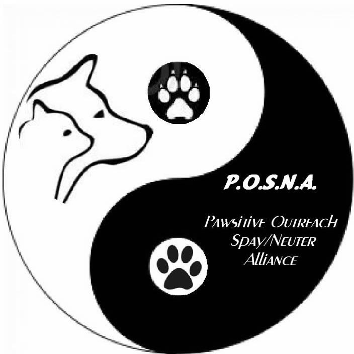 A no-kill, non profit pet rescue.  We help low income pet owners spay and neuter their pets and we have many pets available for adoption!