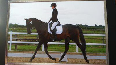 Freelance groom, BD rider and entrepreneur!!!  Do what you love everyday!  #selfempoyed