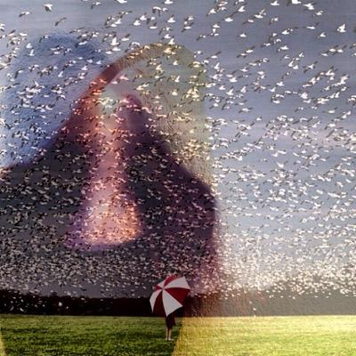 rebecargumedo's profile picture. 