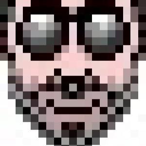 Husband, father, graphic artist, martial artist, software developer