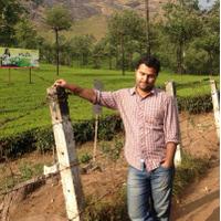 Prakhar Verma (@prakharhp4) 's Twitter Profile