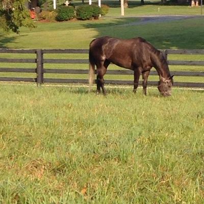 Owner of Husker Hill Farm LLC, Shelbyville Ky